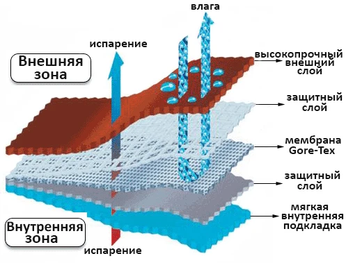 Без назви-1.jpg
